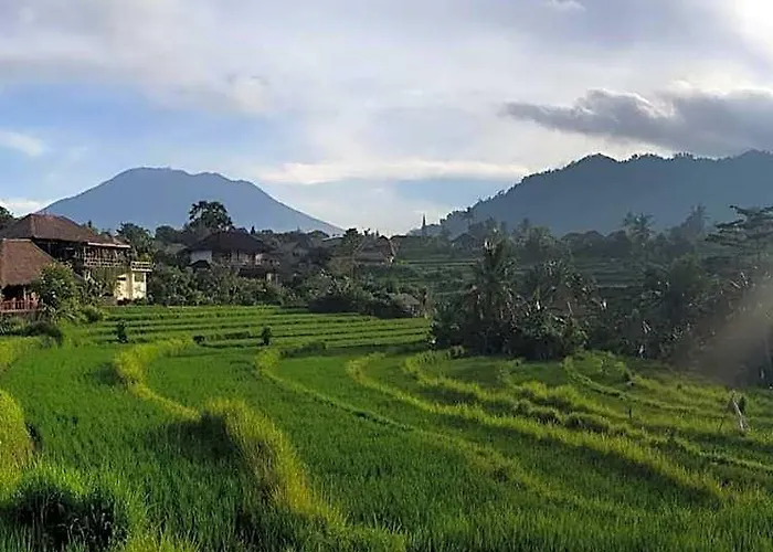 D'janu *