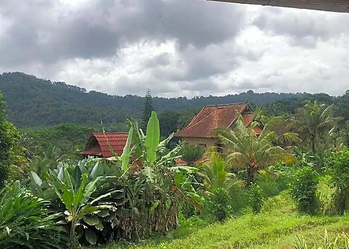 D'janu
